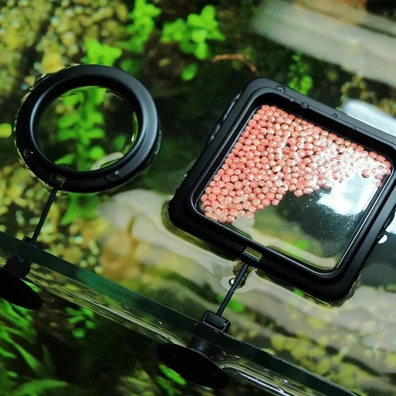 Aquarium Fish Feeder - 1/3pcs Aquarium Fish Feeding Ring Fish