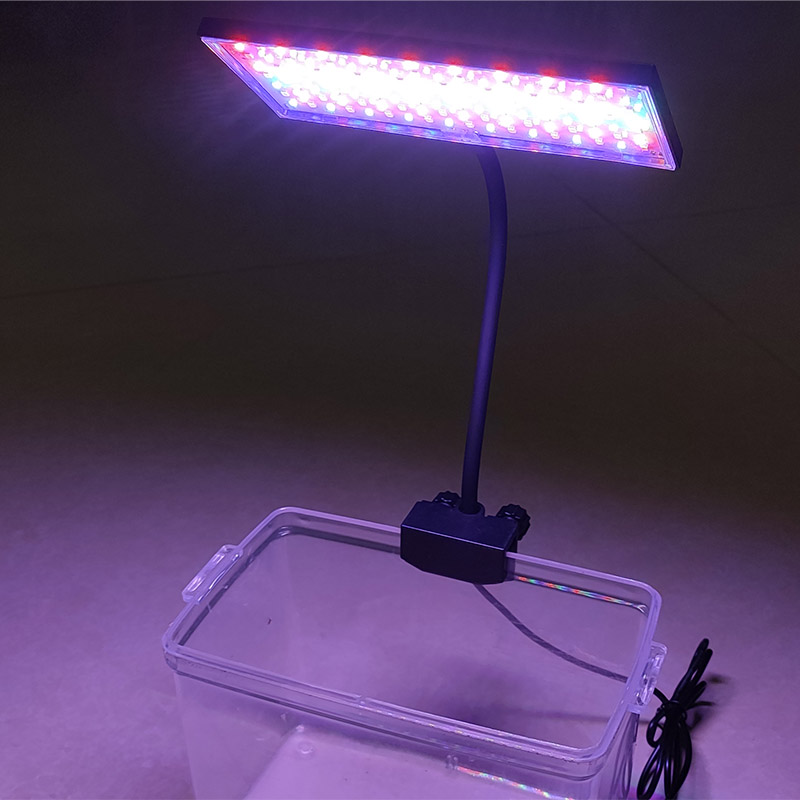 Aquarium Fish Photography - 3 Light Color Adjustable Aquarium Lamp