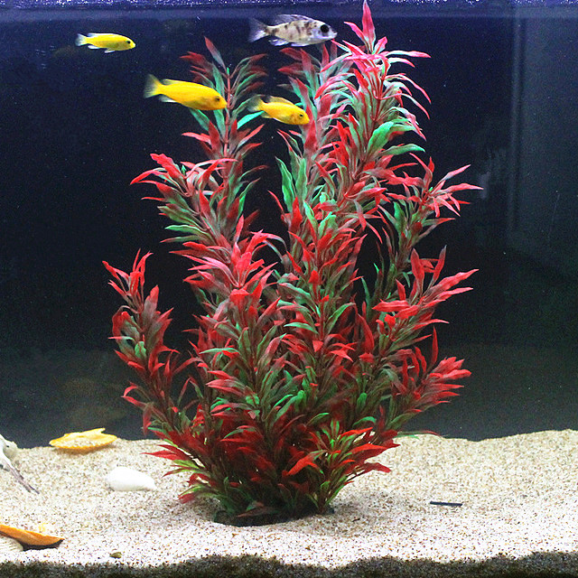 Aquarium Fish Photography - 50CM Artificial Fish Tank Rare Plants