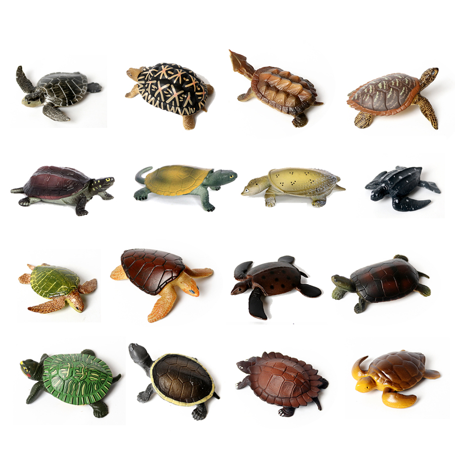 Fish In Aquarium Picture - Realistic Miniatures Marine Life Sea Turtle