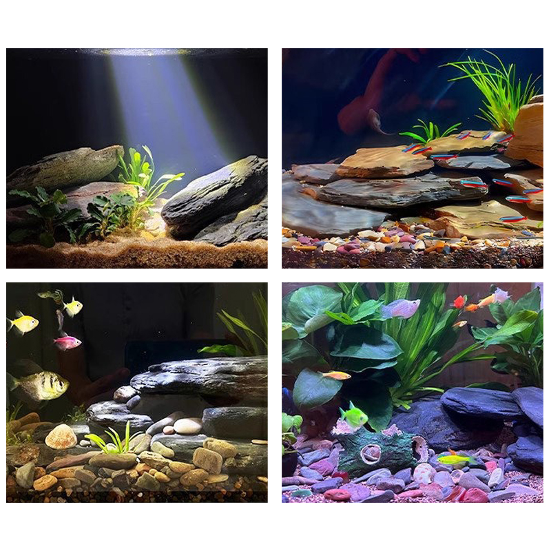 500/1000g Fish Tank Landscape  - Aquarium Fish Cichlid review and price