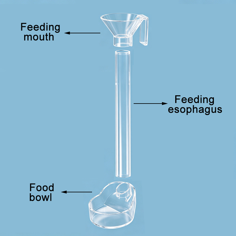 Acrylic Aquarium Fish Feeder T - Aquarium Fish Feeder review and price