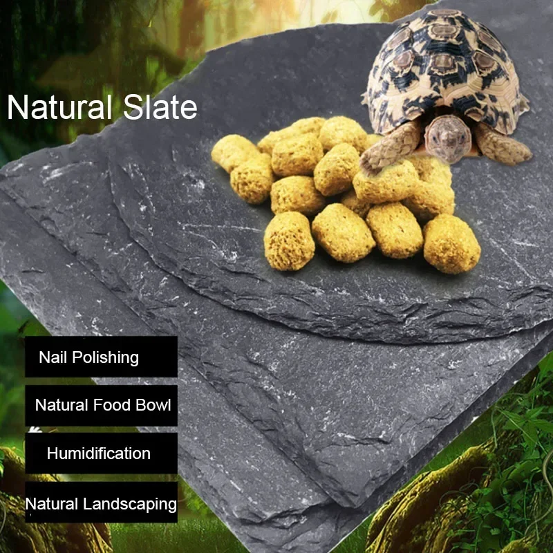 Natural Slate Aquarium Pet Rep - Aquarium Fish Feeder review and price