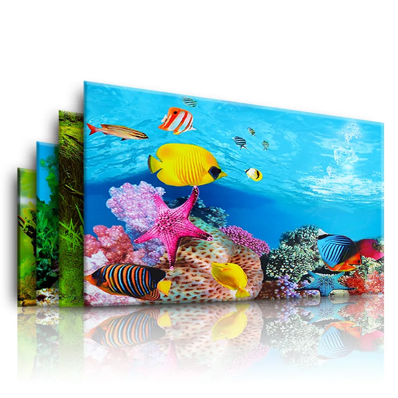 Background for Aquarium 3d  St - Aquarium Fish Cichlid review and price