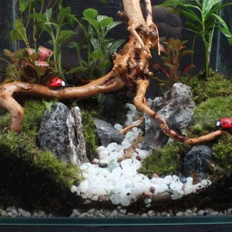 Natural Tree Trunk Driftwood A - Aquarium Fish Cichlid review and price