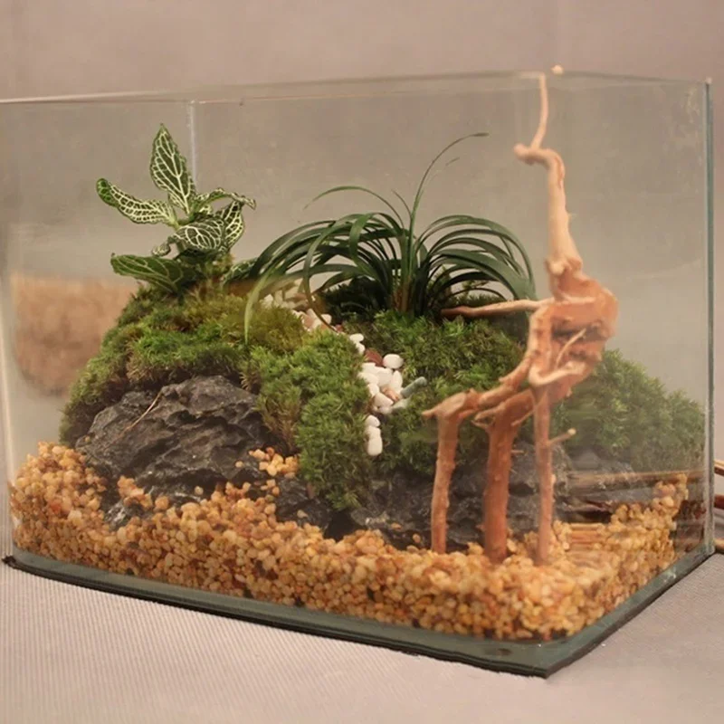 Natural Tree Trunk Driftwood A - Aquarium Fish Cichlid review and price