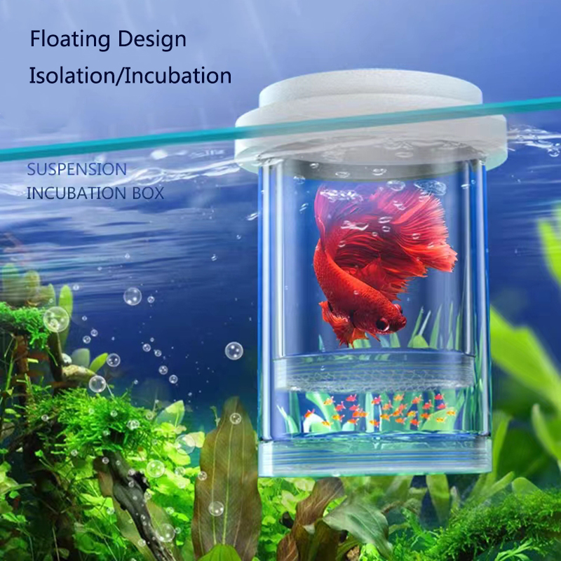 Plastic Floating Fish Breeding - Aquarium Fish Feeder review and price