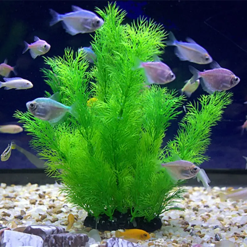 Artificial Aquarium Decor Plan - Aquarium Fish Enrichment review and price