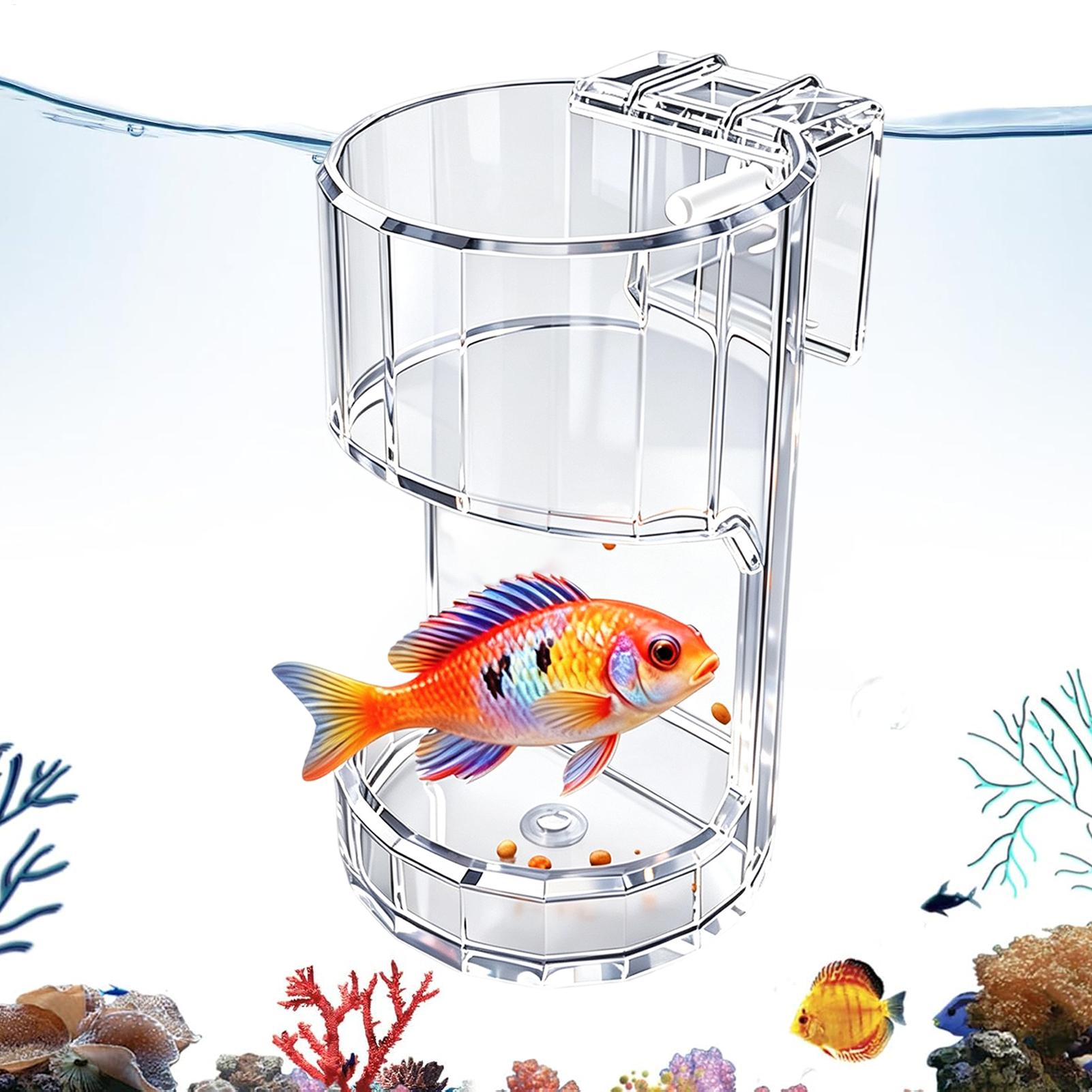 Aquarium Feeding Dish Transpar - Aquarium Fish Feeder review and price