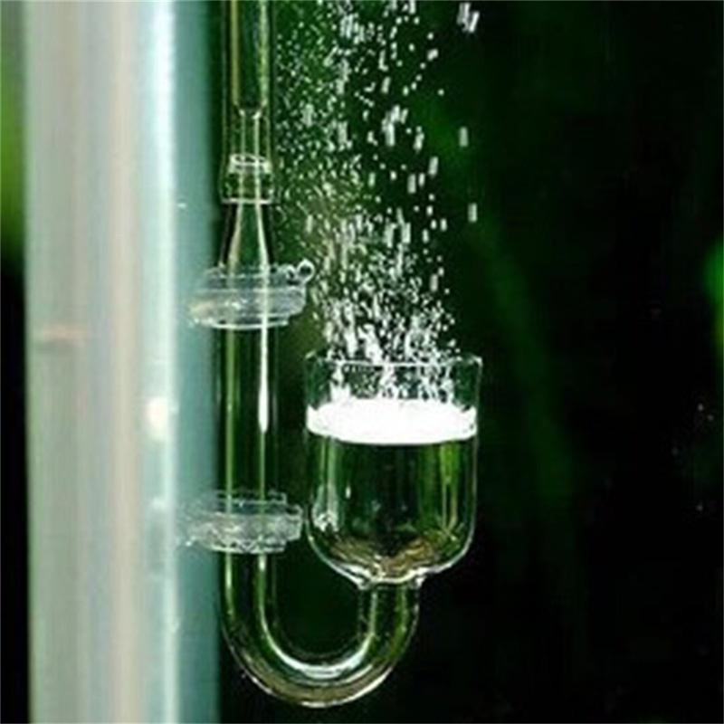 Glass U Shaped CO2 Diffuser fo - Aquarium Fish Discus review and price