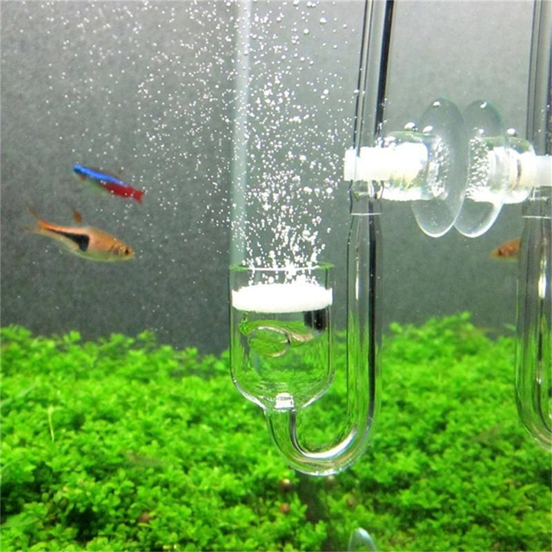 Glass U Shaped CO2 Diffuser fo - Aquarium Fish Discus review and price