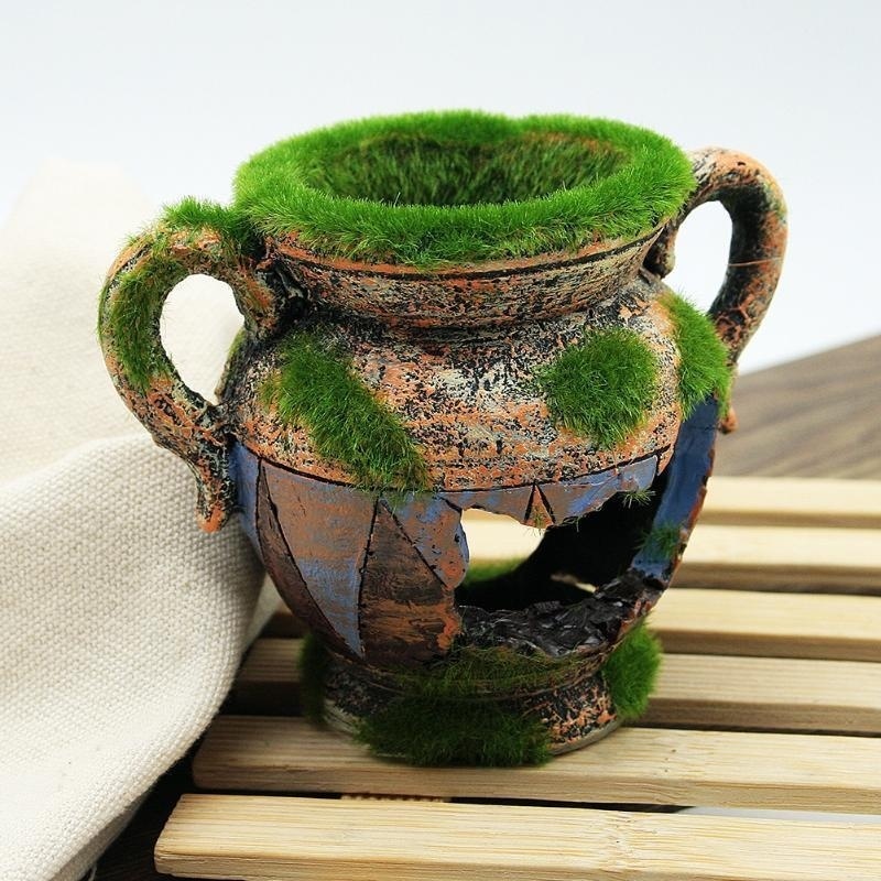 1pc Resin Vase with Moss Aquar - Aquarium Fish For Sale Online review and price