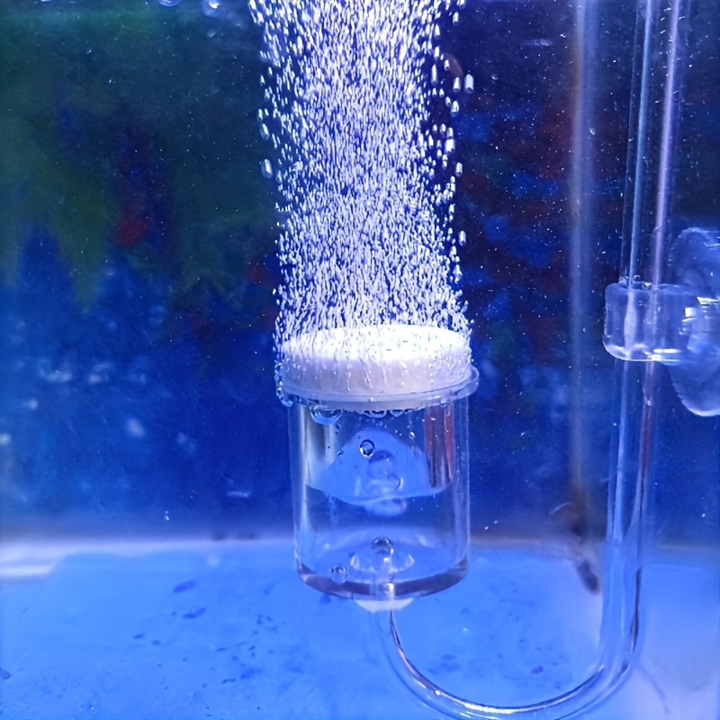 Aquarium Glass CO2 Atomizer Di - Aquarium Fish Photography review and price