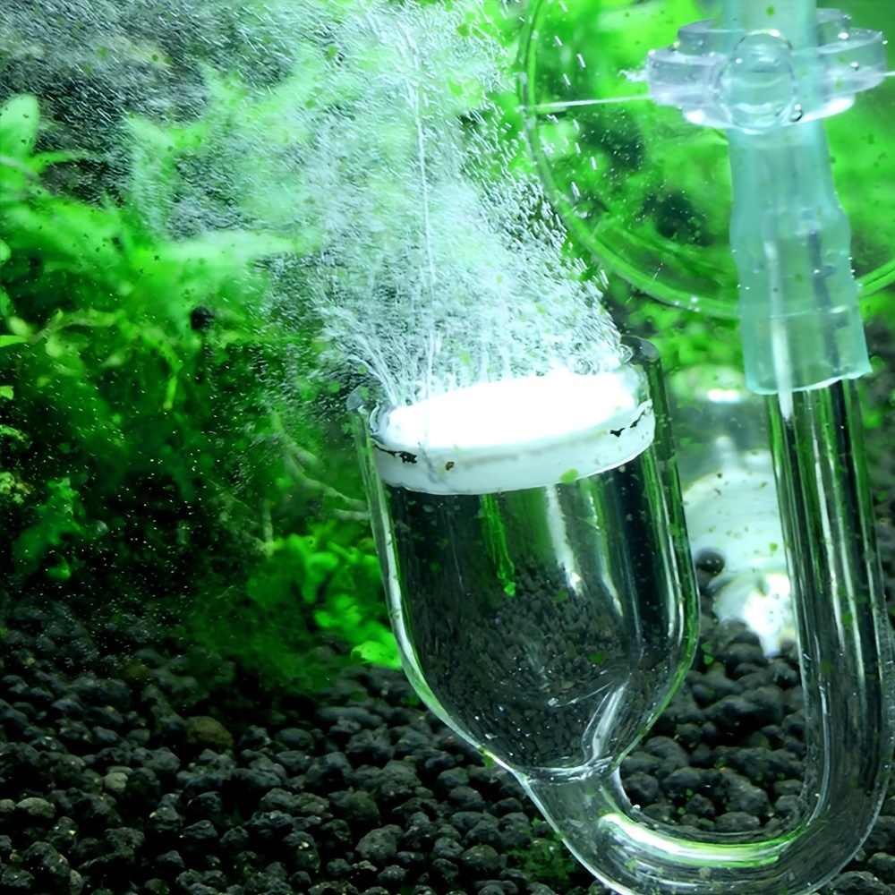 Aquarium Glass CO2 Atomizer Di - Aquarium Fish Photography review and price