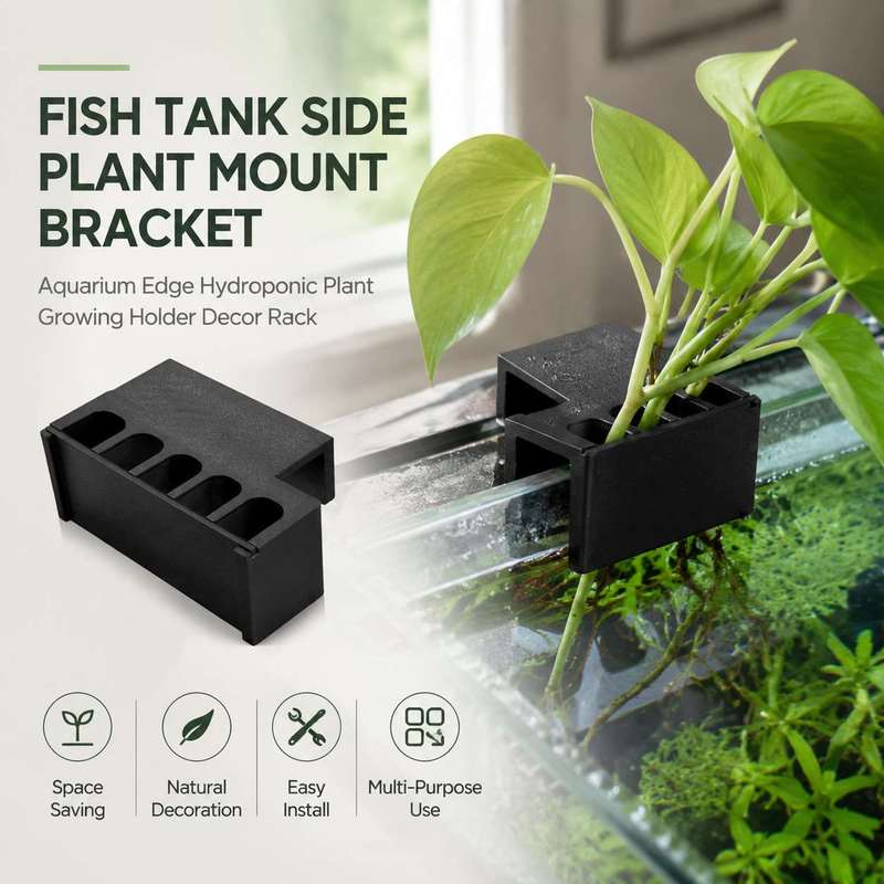 Fish Tank Side Plant Mount Bra - Aquarium Fish Enrichment review and price