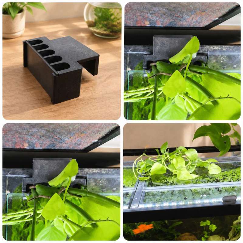 Fish Tank Side Plant Mount Bra - Aquarium Fish Enrichment review and price
