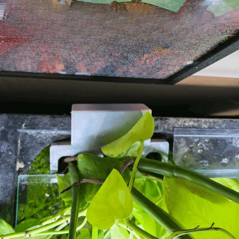 Fish Tank Side Plant Mount Bra - Aquarium Fish Enrichment review and price