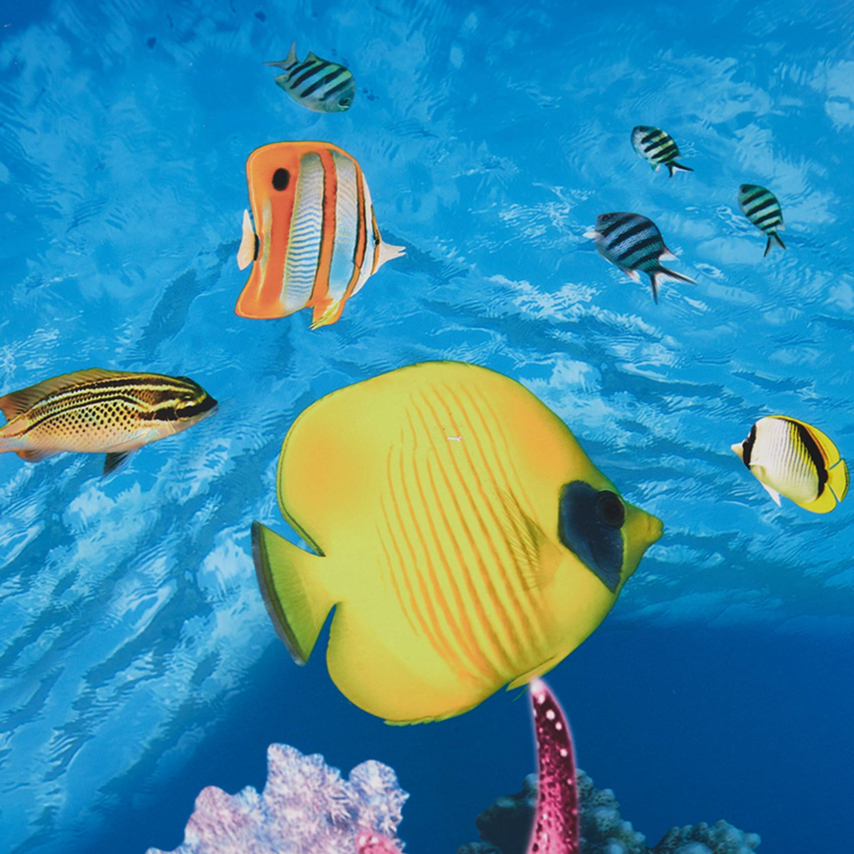 BAAU Aquarium Background Paper - Fish In Aquarium Picture review and price