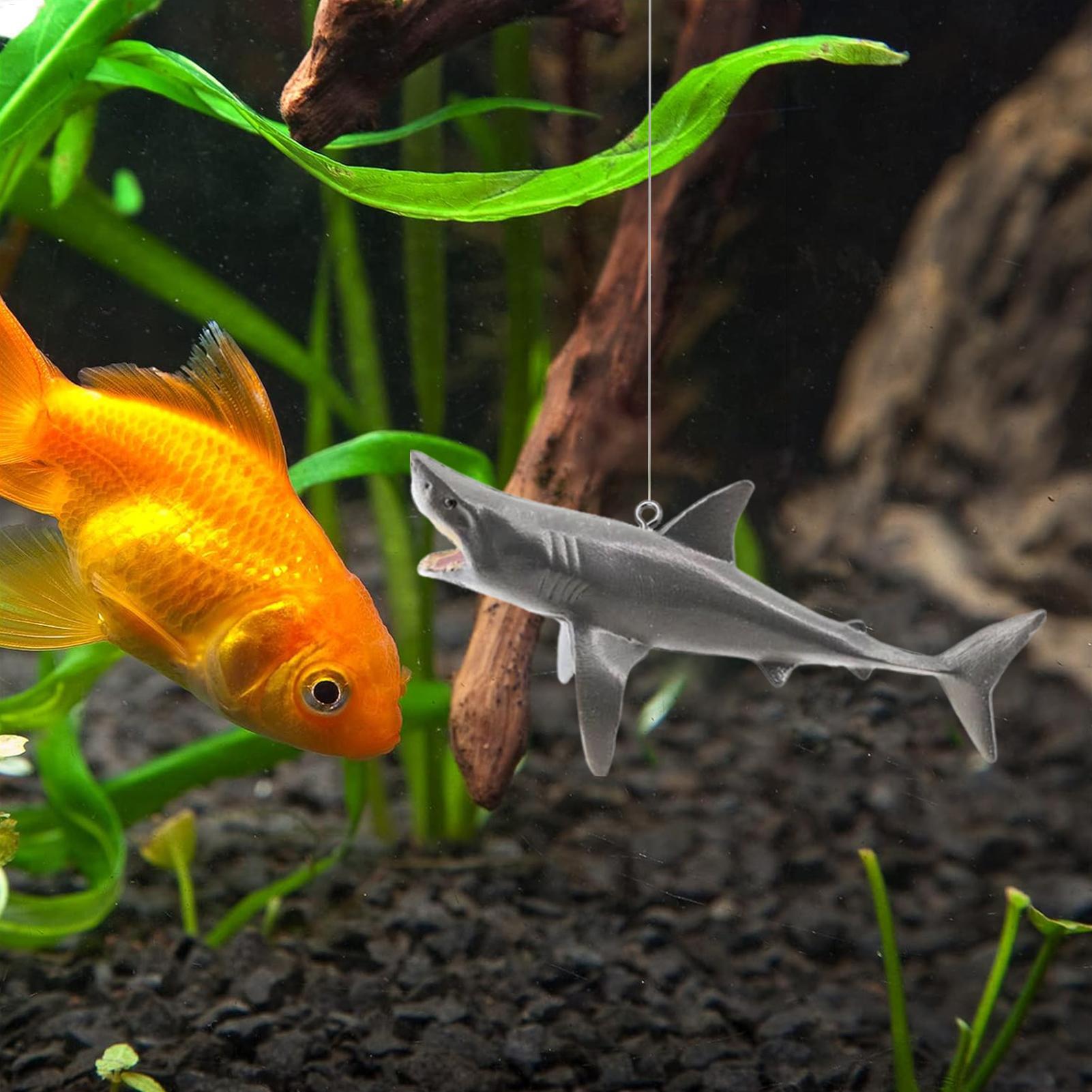 Floating Shark Aquarium Landsc - Aquarium Fish Shark review and price