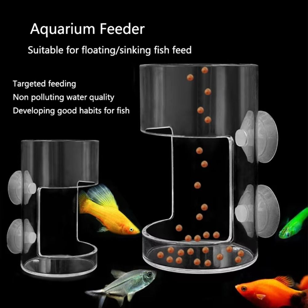 Acrylic Aquarium Feeders Ring  - Aquarium Fish Feeder review and price