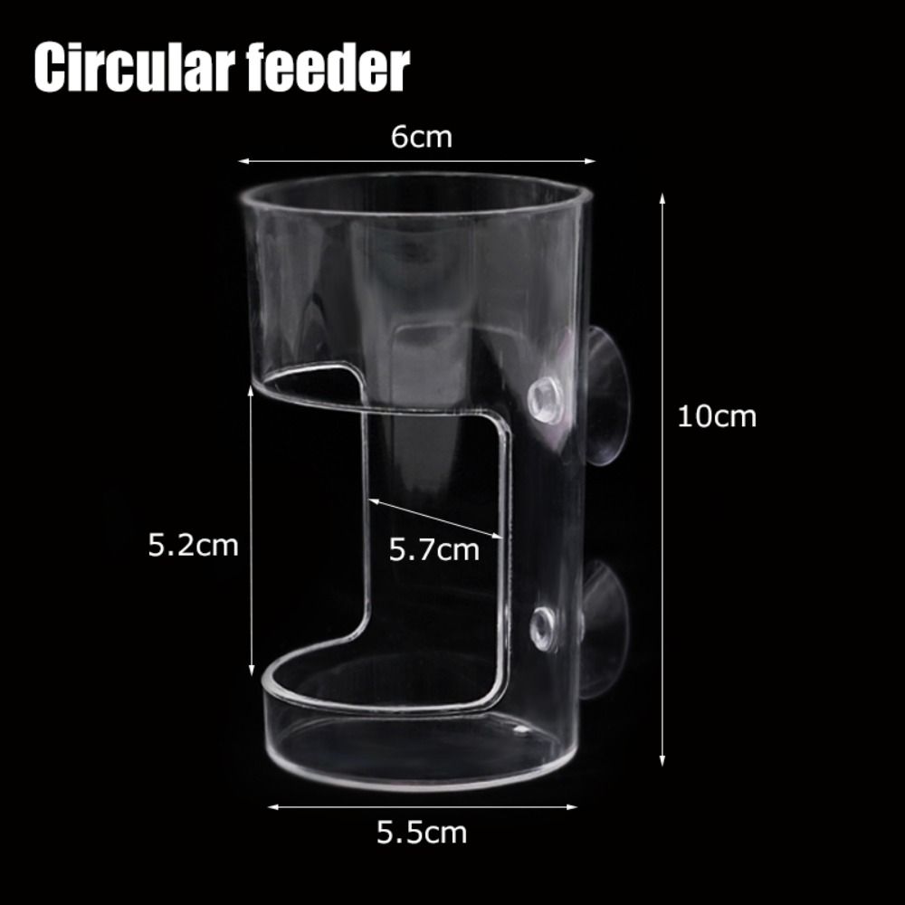 Acrylic Aquarium Feeders Ring  - Aquarium Fish Feeder review and price
