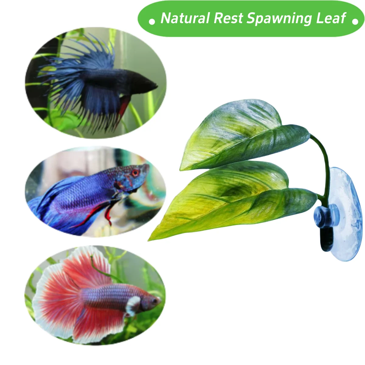 Pets Fish Tank Decor Betta Rel - Aquarium Fish Enrichment review and price