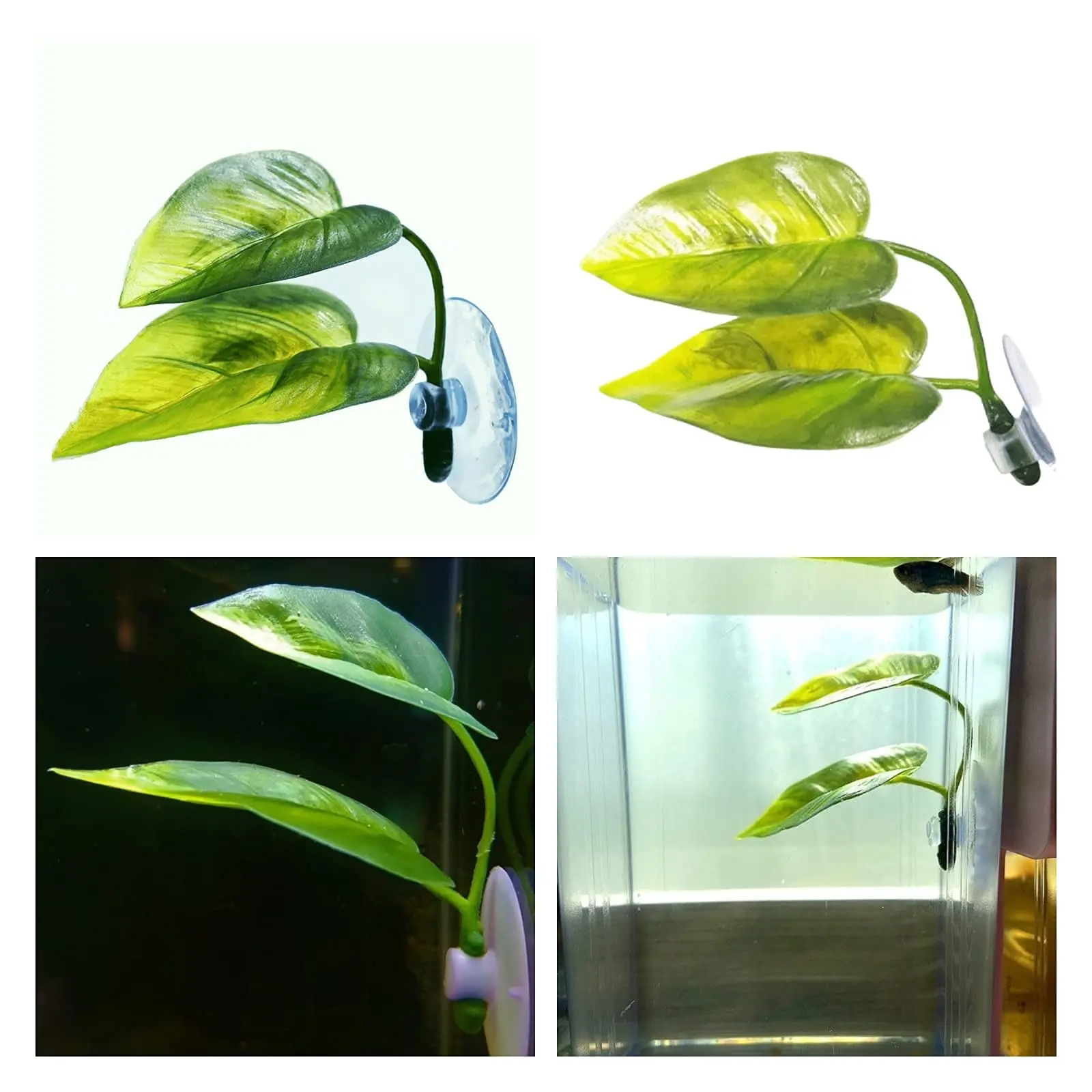 Pets Fish Tank Decor Betta Rel - Aquarium Fish Enrichment review and price
