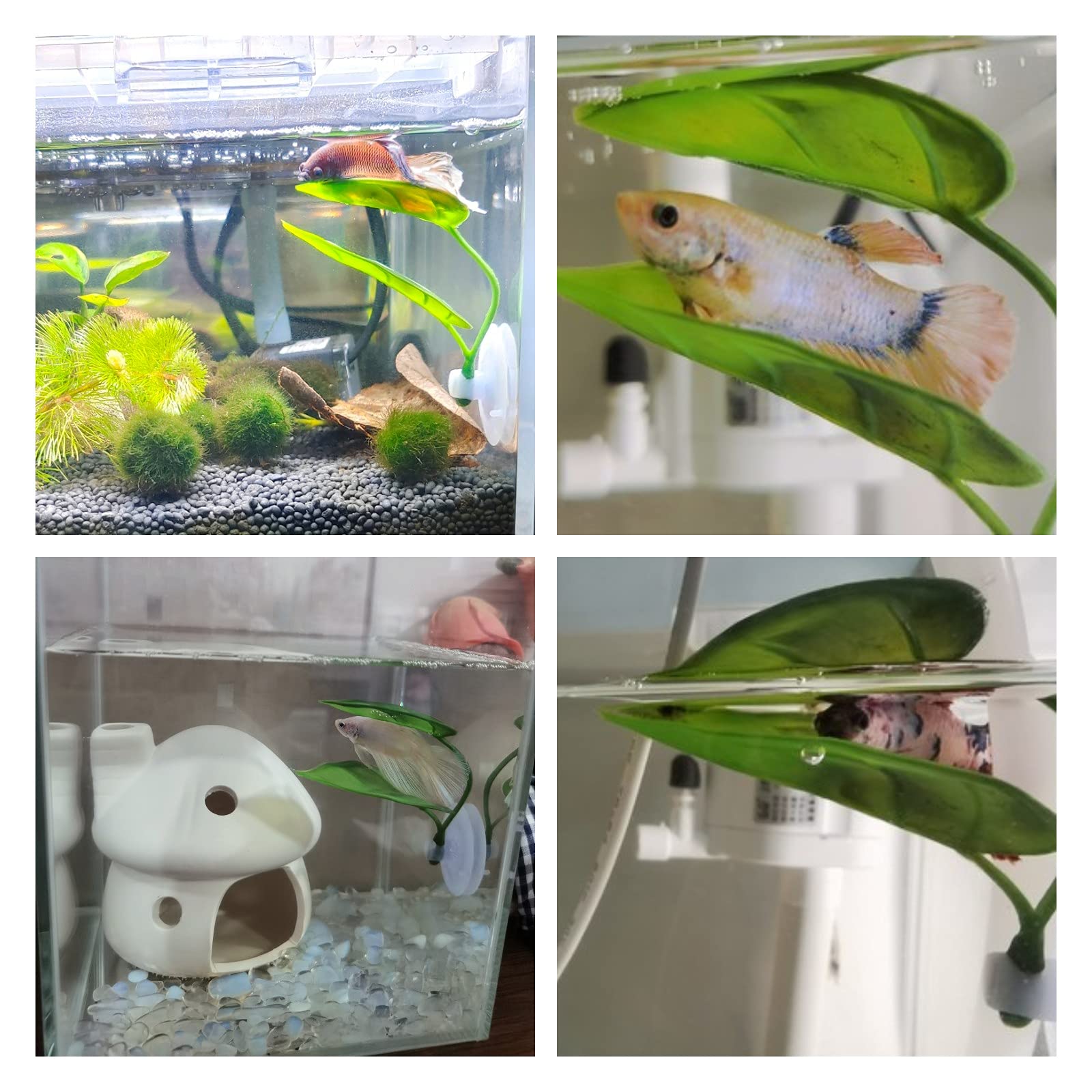 Pets Fish Tank Decor Betta Rel - Aquarium Fish Enrichment review and price