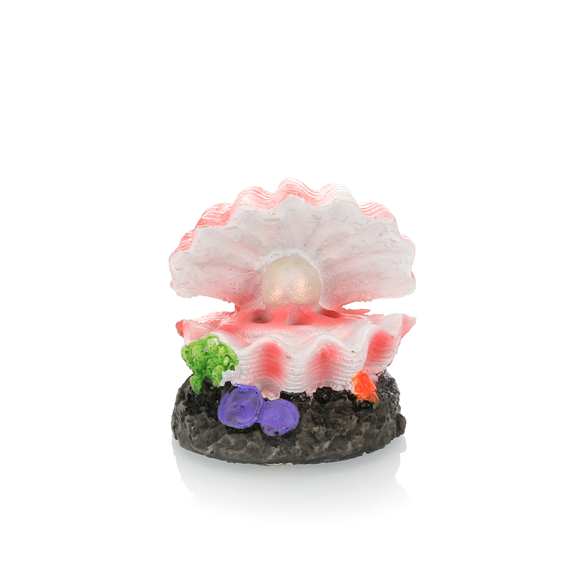 Fish Tank Landscaping Simulati - Aquarium Fish For Sale Online review and price