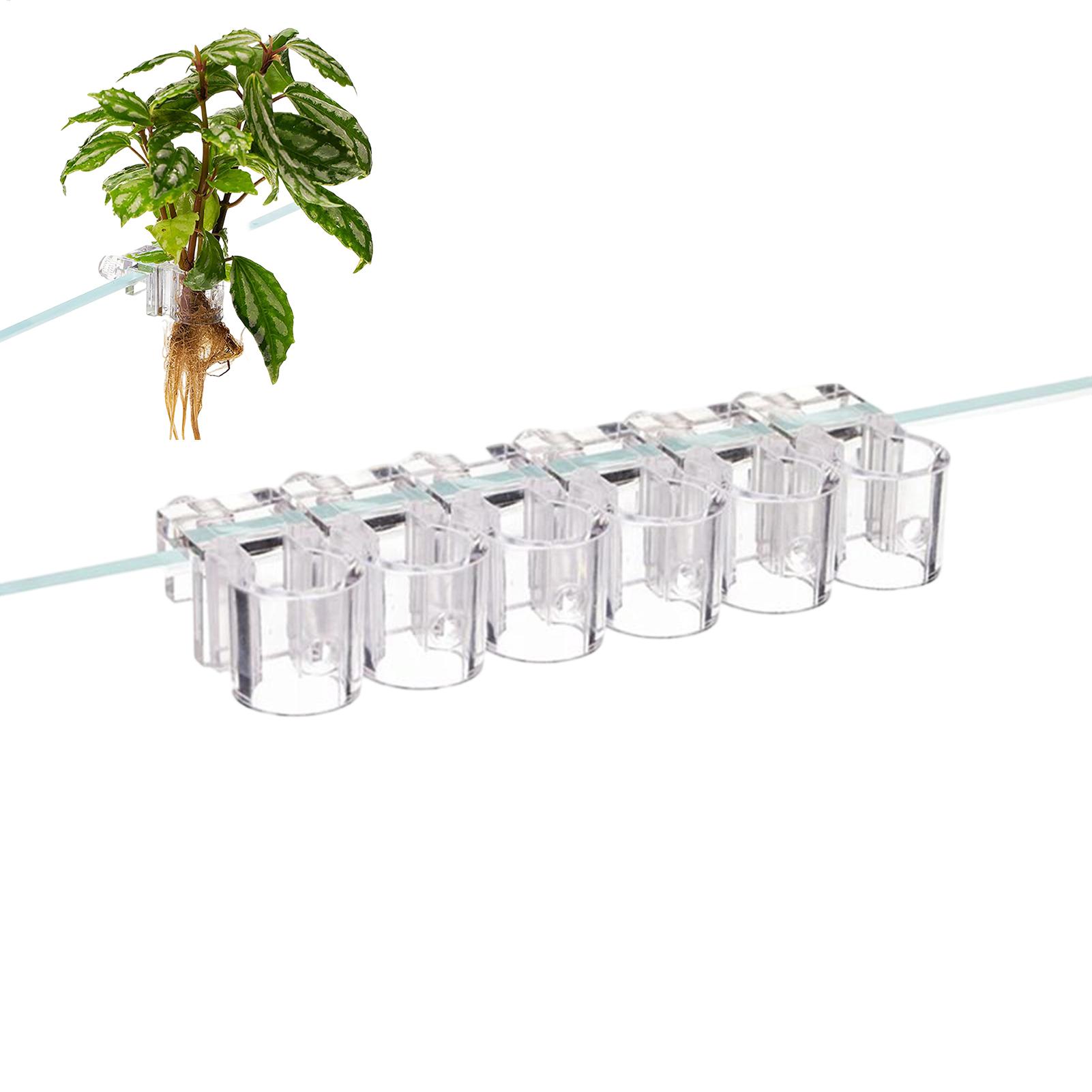 Mini Fish Tank Planter Pot 6Pc - Aquarium Fish Feeder review and price