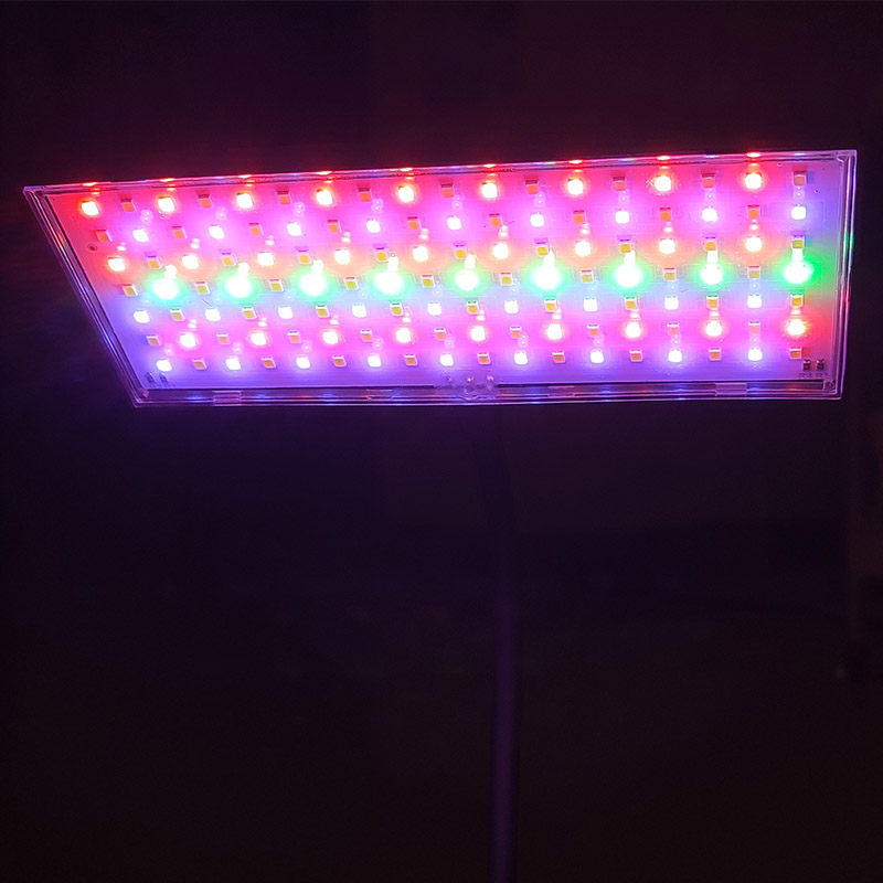 3 Light Color Adjustable Aquar - Aquarium Fish Photography review and price