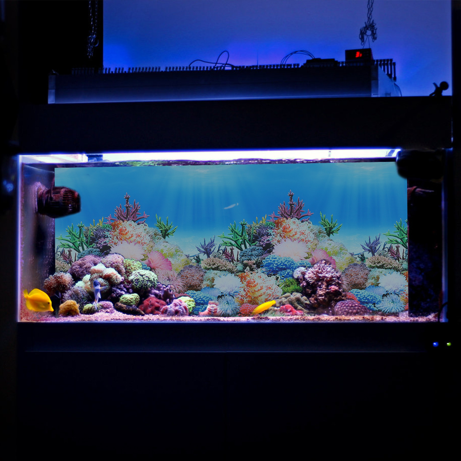 Fish Tank Aquarium Decor Backg - Fish In Aquarium Picture review and price