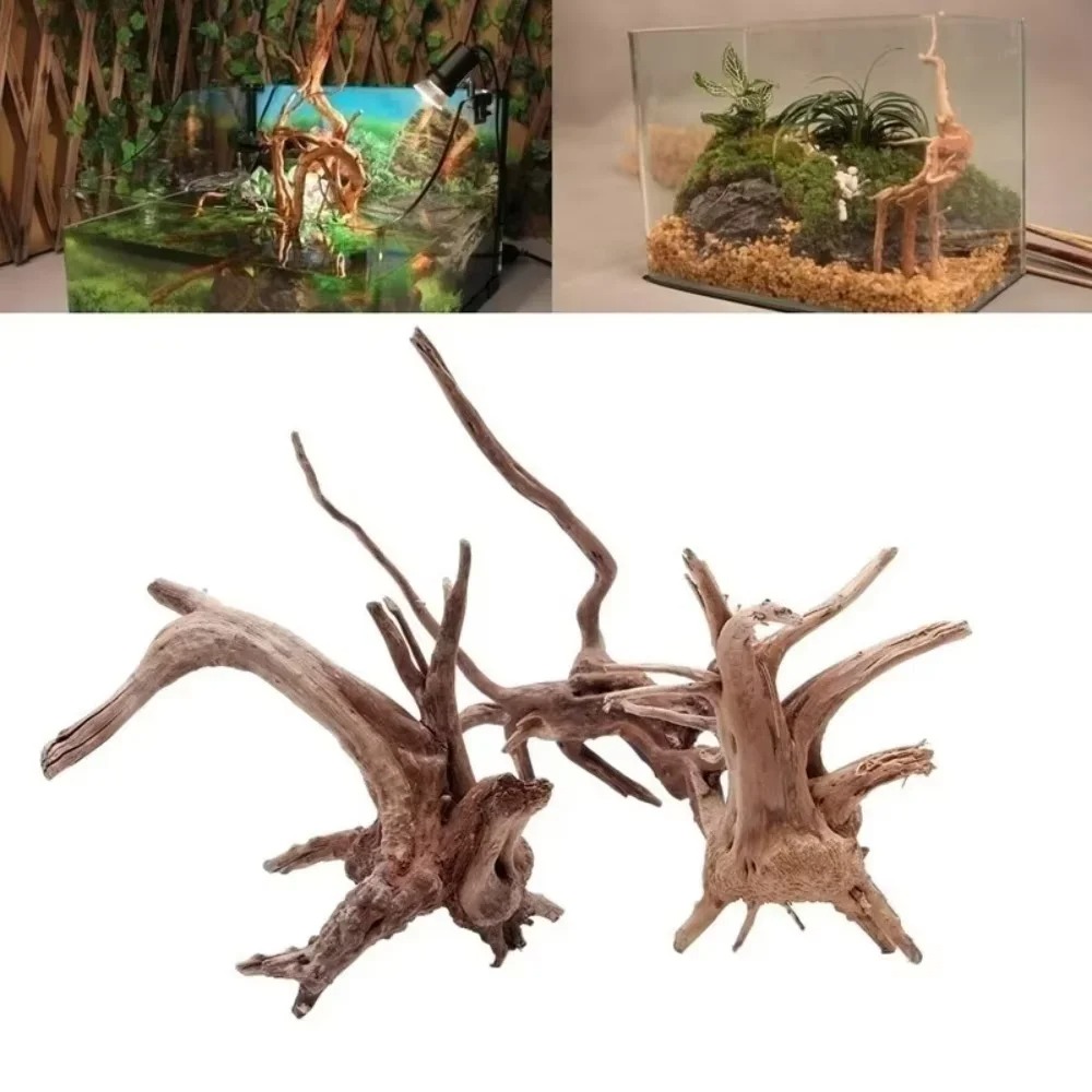（15-20cm） Natural Driftwood Aq - Aquarium Fish Fishing review and price