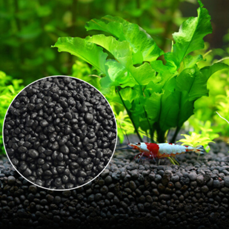 Aquarium Plant Seeds Soil Fish - Aquarium Fish Photography review and price