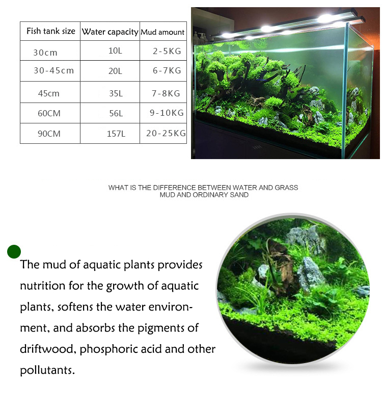 Aquarium Plant Seeds Soil Fish - Aquarium Fish Photography review and price