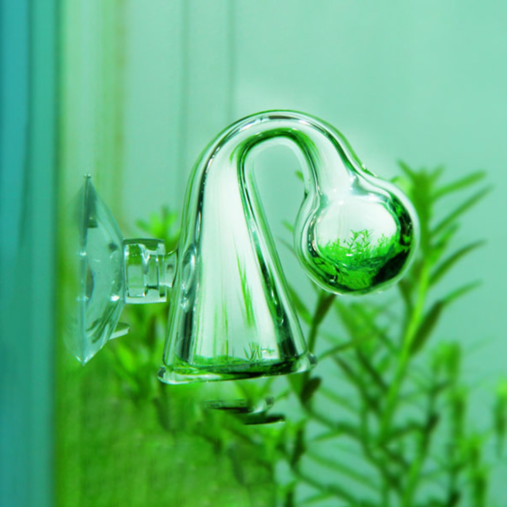 Fish Tank CO2 Diffuse Glass Dr - Aquarium Fish Photography review and price