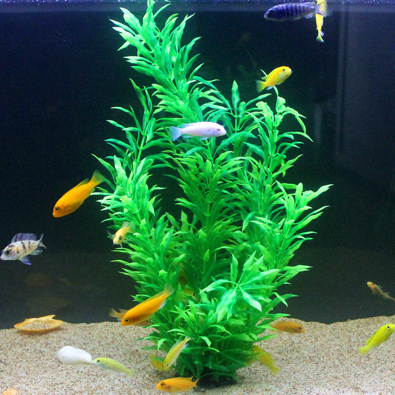 50CM Artificial Fish Tank Rare - Aquarium Fish Photography review and price