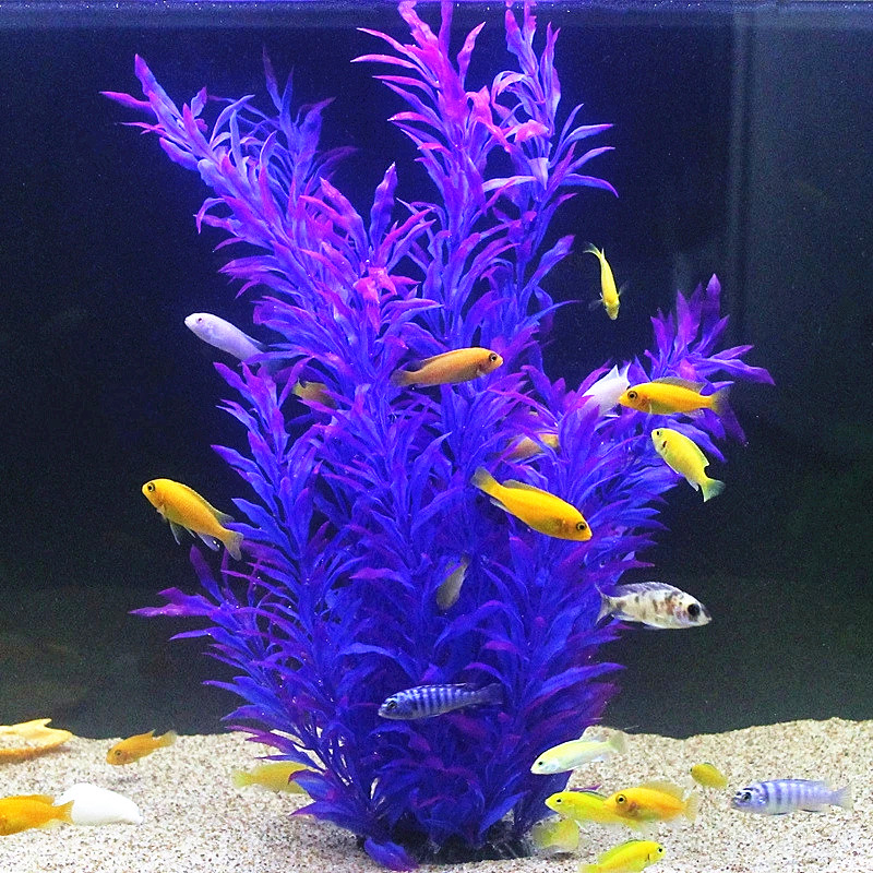 50CM Artificial Fish Tank Rare - Aquarium Fish Photography review and price