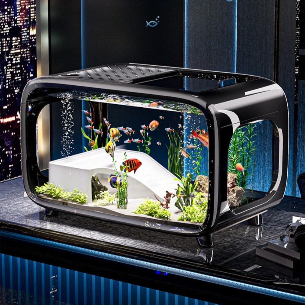 Transparent Luxury Fish Tank D - Aquarium Fish Cichlid review and price
