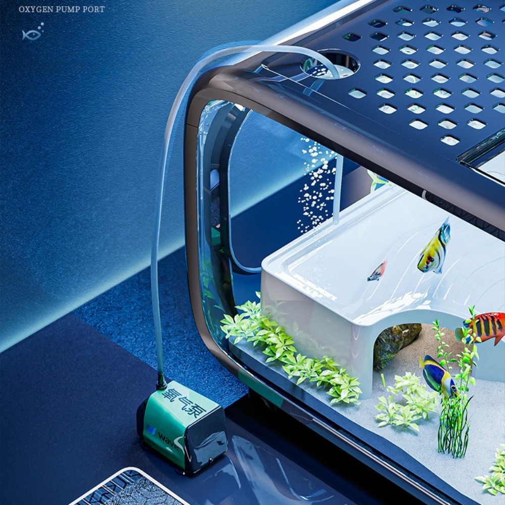 Transparent Luxury Fish Tank D - Aquarium Fish Cichlid review and price