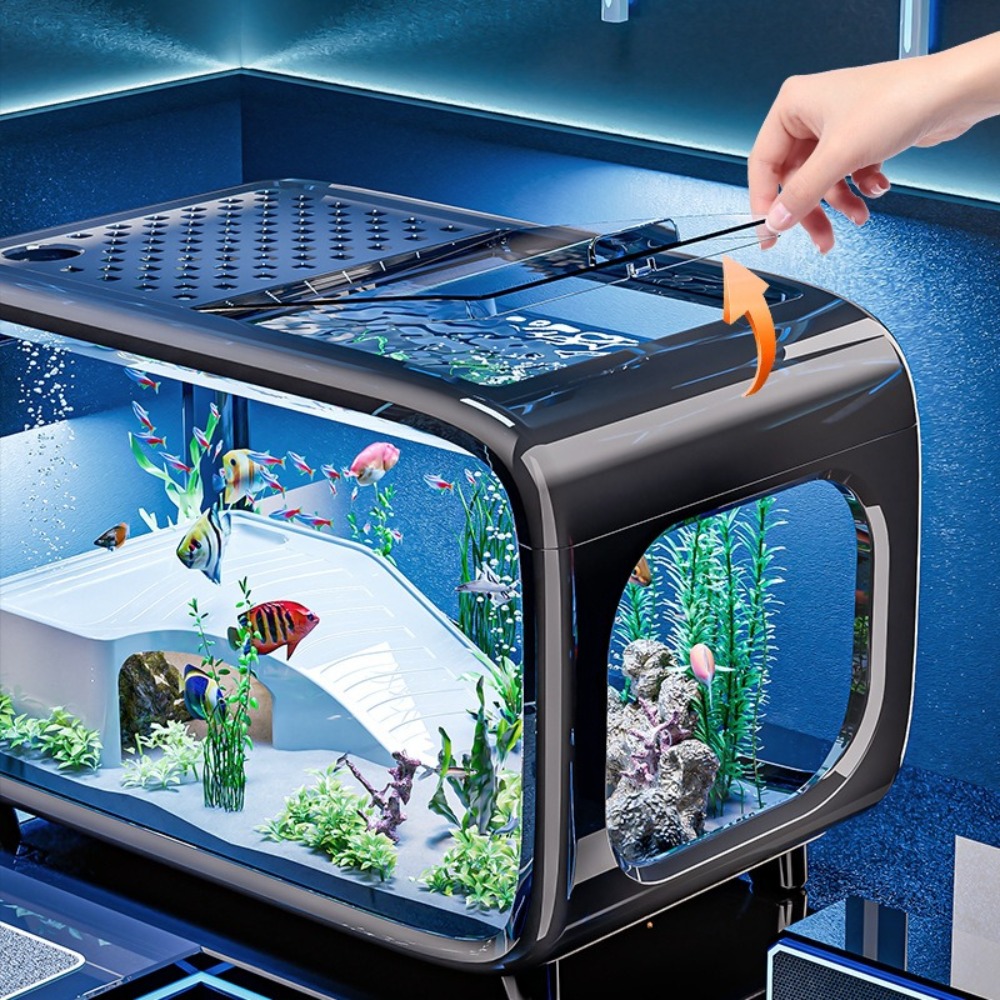 Transparent Luxury Fish Tank D - Aquarium Fish Cichlid review and price