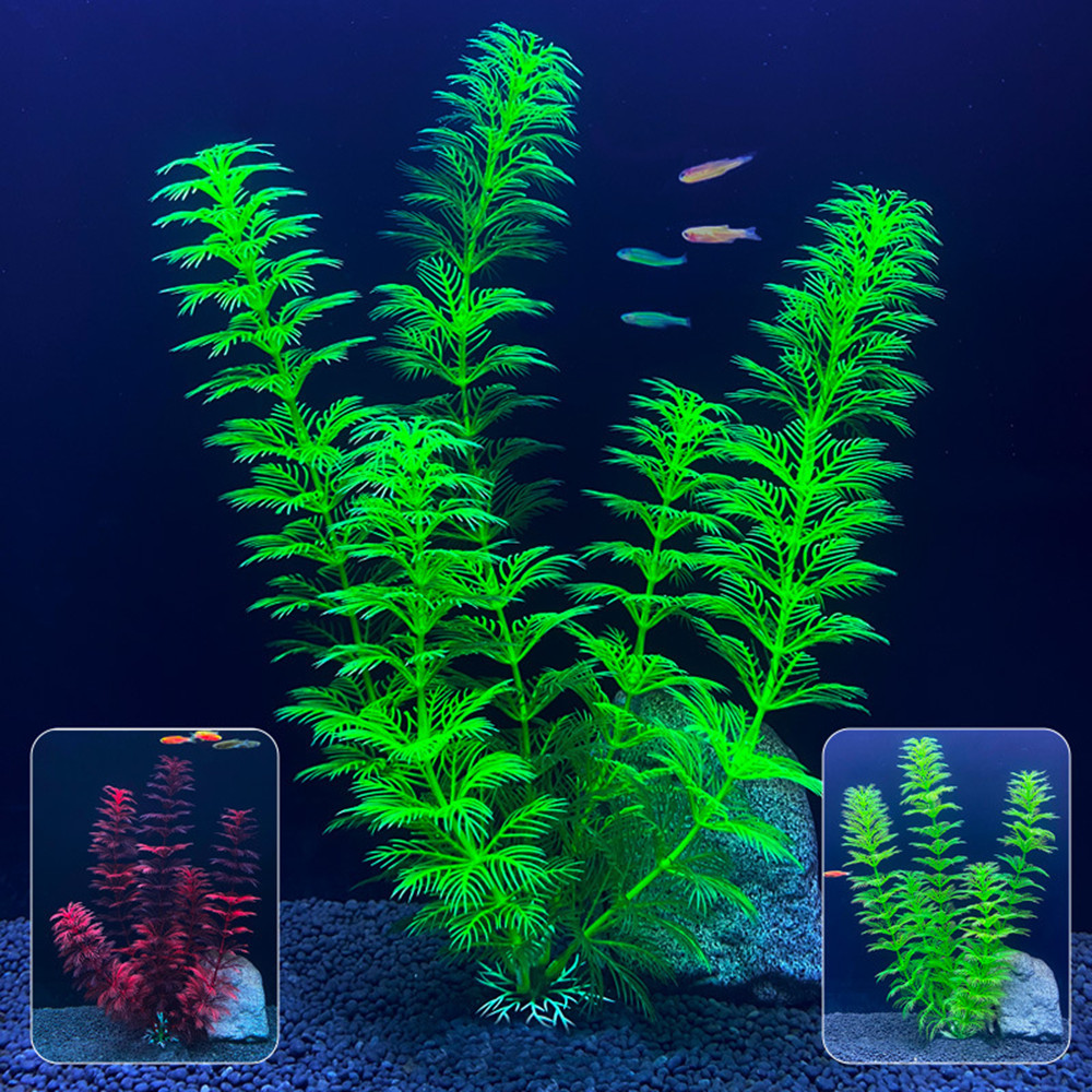 14cm - 30cm Fake Aquarium Plan - Aquarium Fish For Sale Online review and price