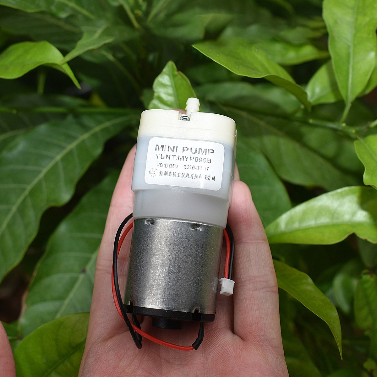 Mini 528 Air Pump DC 3.7V 5V 6 - Aquarium Fish Big review and price