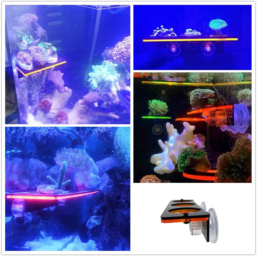 Fluorescent Coral Frag Plug Br - Aquarium Fish Cichlid review and price