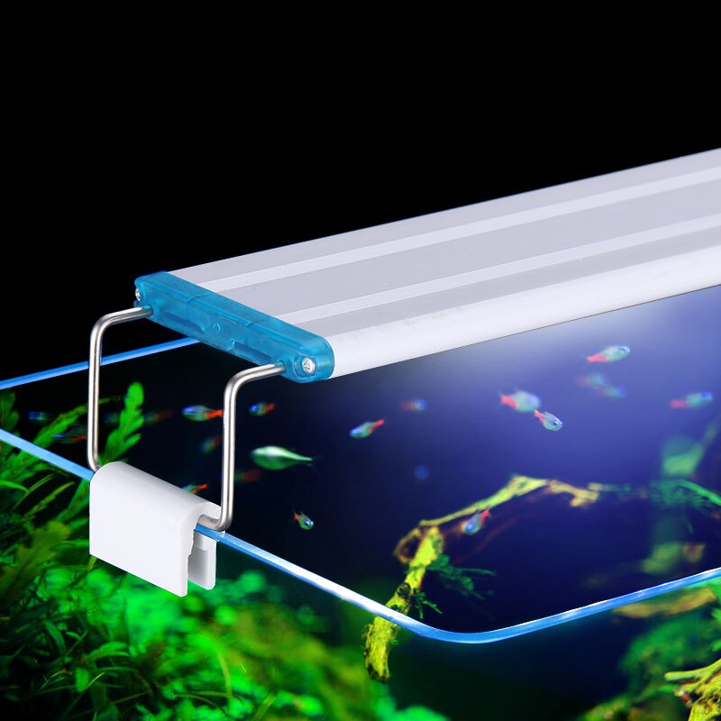 Extensible Waterproof Clip on  - Aquarium Fish Photography review and price