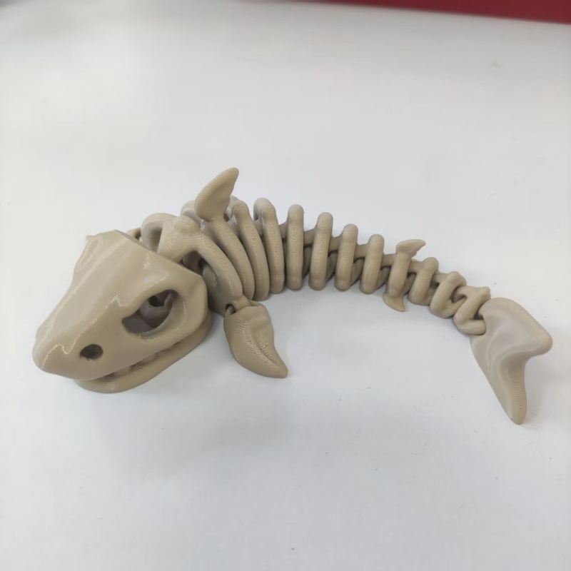 17cm Shark Skeleton In Water A - Aquarium Fish Shark review and price
