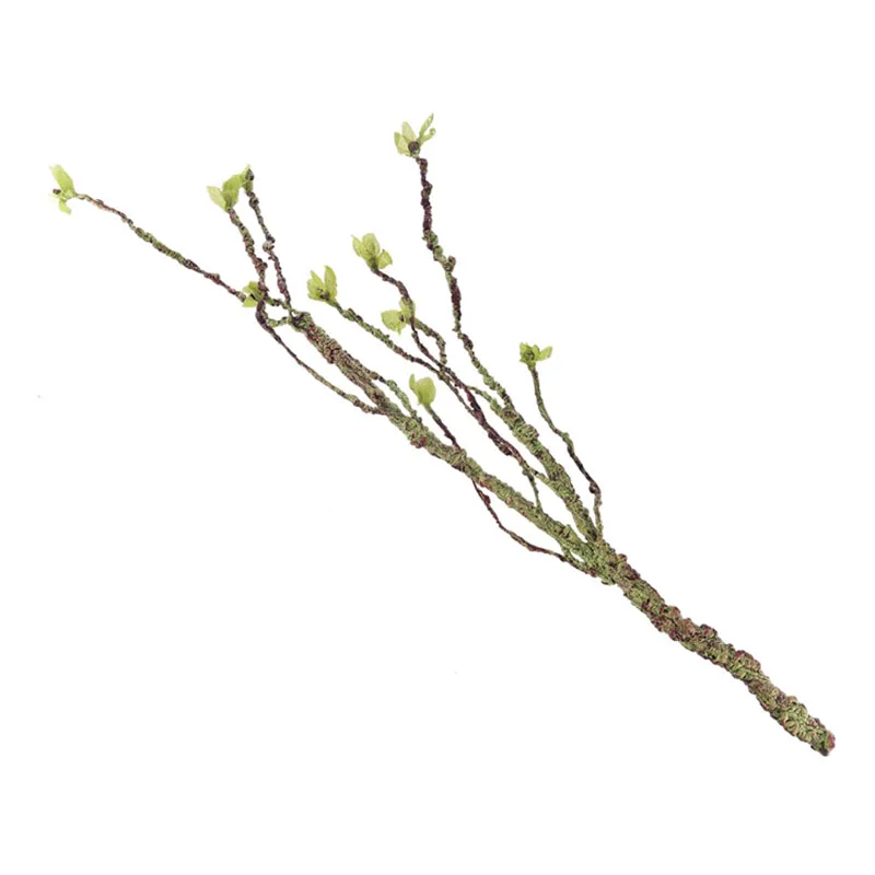 Vines Decor Climbing Branches  - Aquarium Fish Cichlid review and price