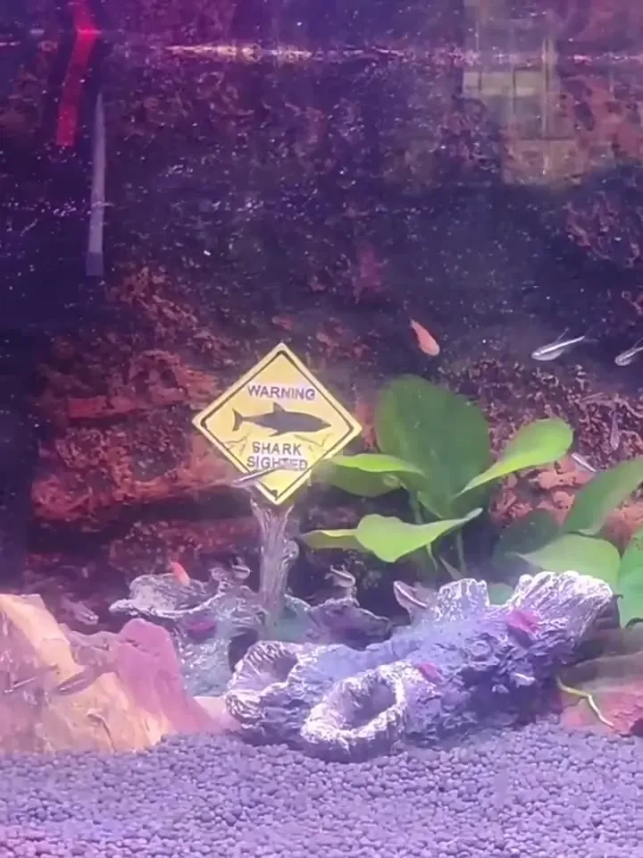 Resin Aquarium Decorative Orna - Aquarium Fish Shark review and price